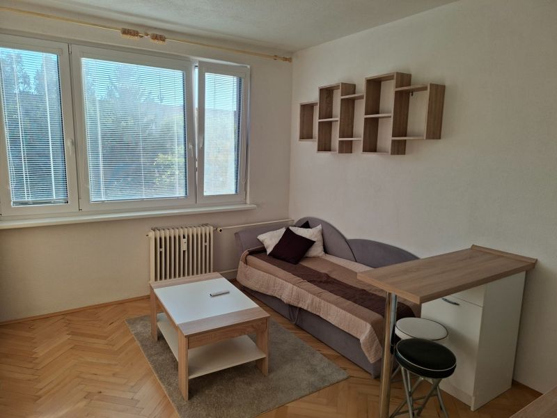 Garzonlakás fa dekor padlóval, kanapéval, dohányzóasztallal és függő polccal.