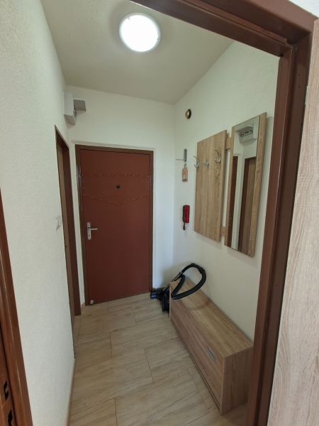 Előszoba a garzonlakásban szekrénnyel és fa dekorációval a padlón.