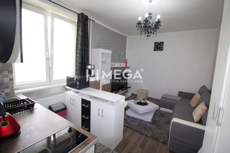 Nappali konyhával a nyaraló apartmanban, fa hatású padló, szürke kanapé.