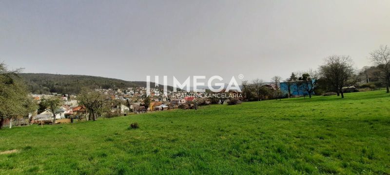 Kilátás a Brestovská utcáról a természet és zöldövezet által körülvett családi házakra Homonnán.