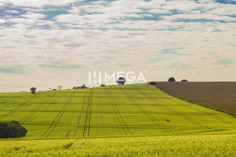 Kiterjedt zöld mezők kereskedelmi területeken Kassán, Kassa IV. kerület.