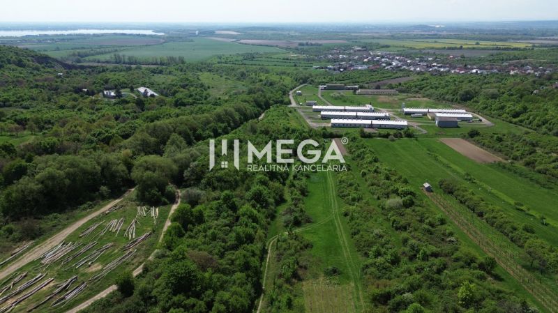 Légi felvétel a Laborc melletti Nagykertvárosról zöld mezőkkel és épületekkel.
