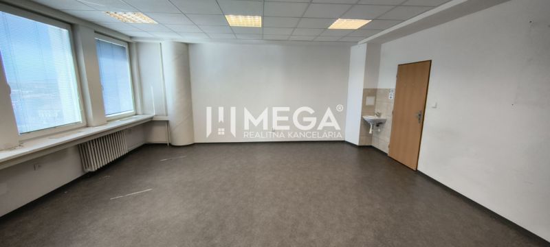 Tágas iroda fa dekor padlóval, mosdóval és nagy ablakokkal.
