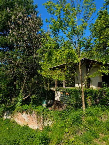 Házikó fákkal és zölddel körülvéve a kertekben a Šípková utcában, Kassa - Krásna városrész.