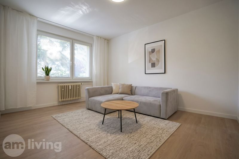 Nappali egy egyszobás lakásban kanapéval, szőnyeggel és fa dekorációjú padlóval.