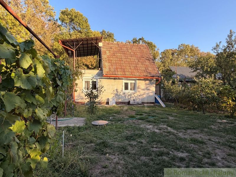 Újváradi teraszos ház, természet által körülvéve, szőlőültetvényekkel és erdő háttérrel.