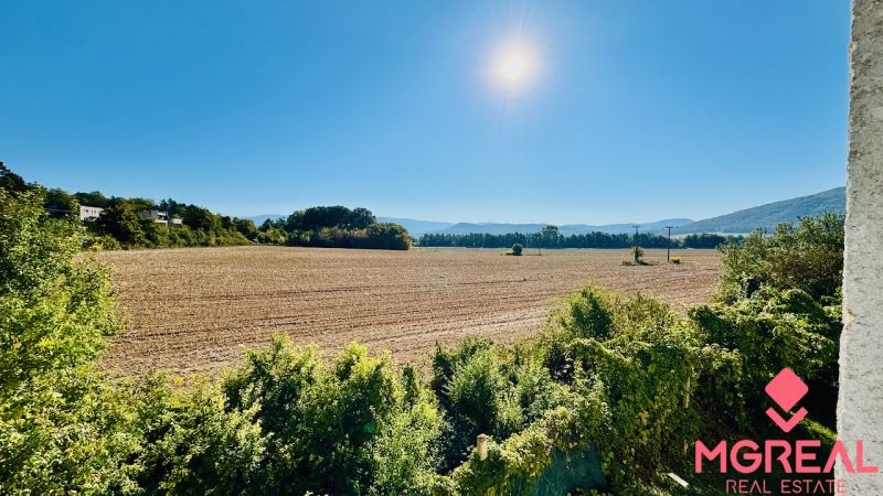 Kiterjedt mező Malé Kršteňanyban a kék ég alatt, zölddel és nappal körülvéve.