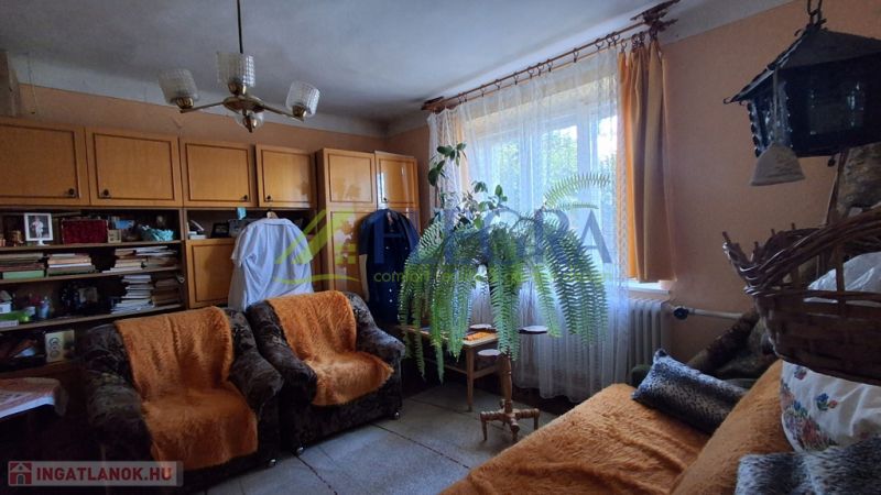 Nappali kanapékkal, függönyökkel és növénnyel egy családi házban.