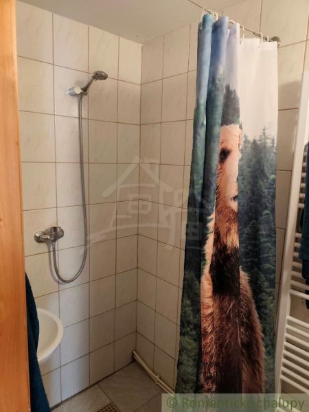 Zuhanyzó a házban egyedi függönnyel, amely egy medvét ábrázol.