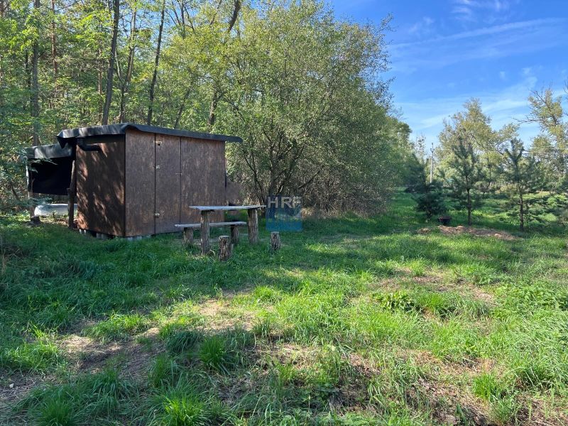 Kopcsányi kertek fából készült pavilonnal, fákkal és zöld fűvel körülvéve.