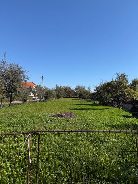 Zöldterületek és fák a lakóterületeken Kovarce-ban a kék ég alatt.